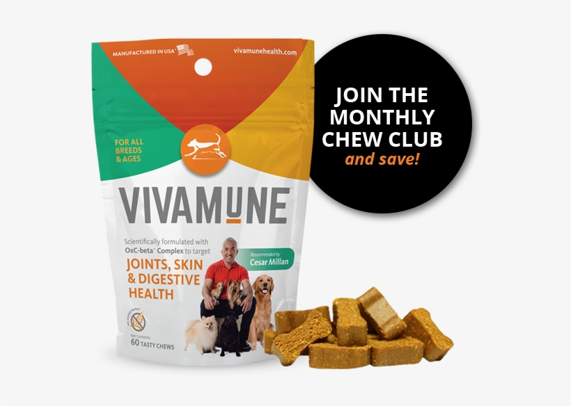 Health Chews For Dogs Of All Sizes 60 Count - Dog Digestive Health, transparent png
