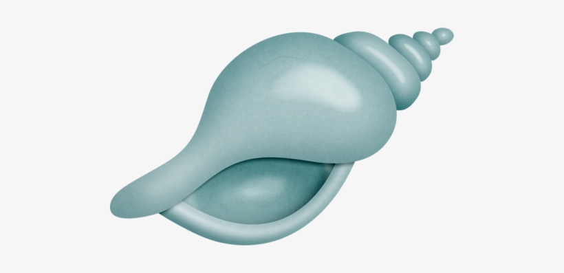 Seashell - Clip Art, transparent png