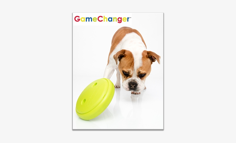 Sadly, The Charity Is Facing Closure And Needs To Raise - Boxer, transparent png