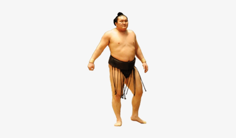 Sumo Wrestler Transparent Png, transparent png