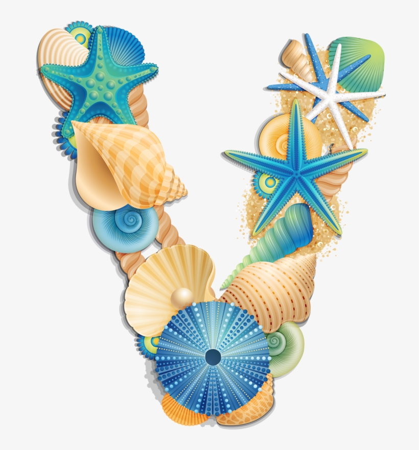 Фото, Автор Arana На Яндекс - Sea Life Urchin 3 Shower Curtain, transparent png