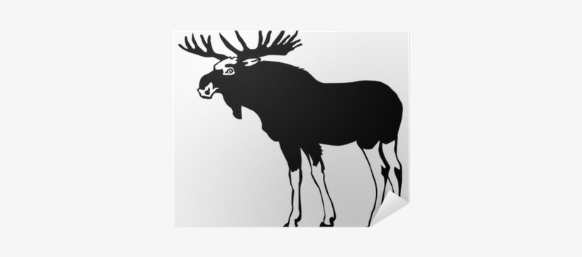 Vector, transparent png