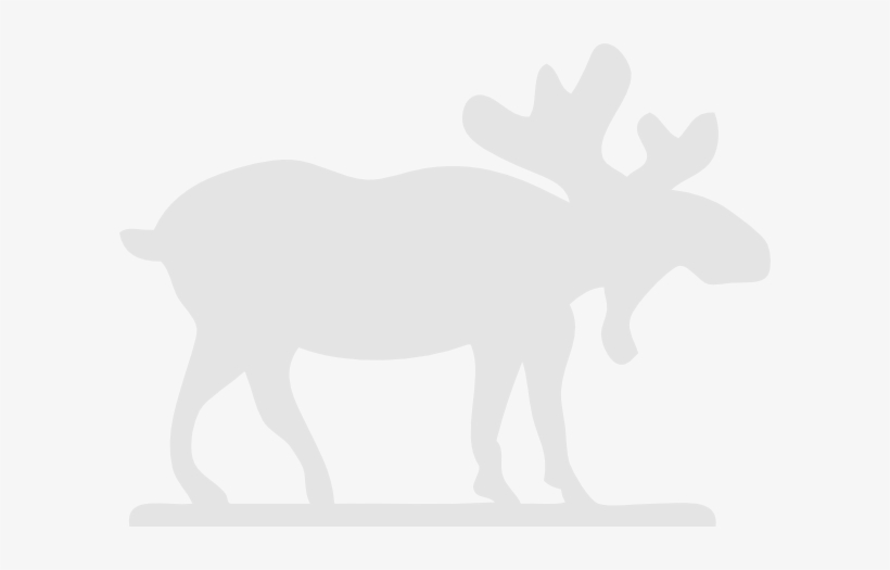 White Moose Black Background, transparent png