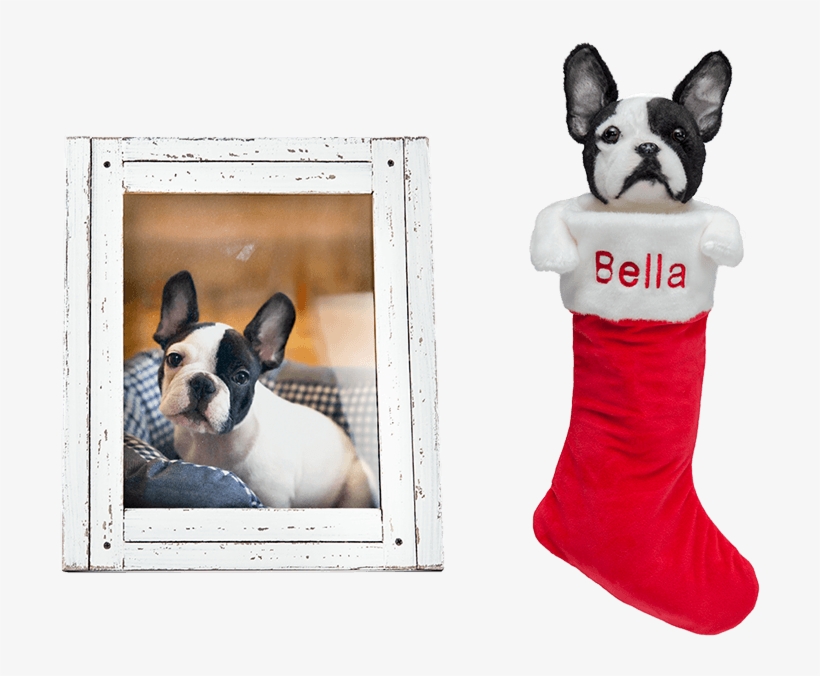 5cuddleclones Custom Holiday Stocking, $139 - Pet, transparent png