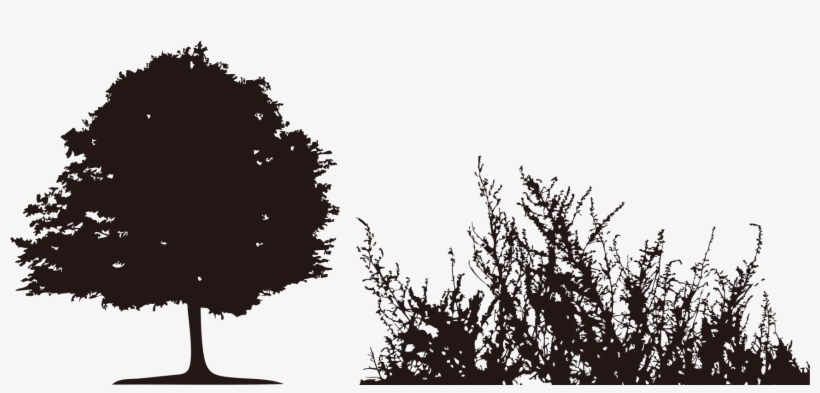 Download Wallpaper Transprent Free - Silhouette, transparent png
