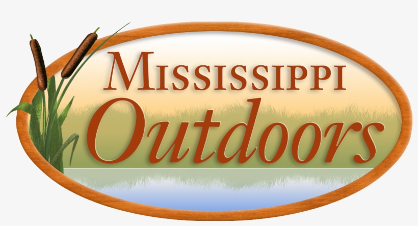 Watch Now - Tan, transparent png