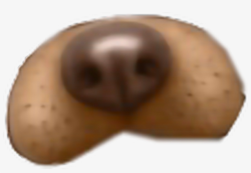 Report Abuse - Dog, transparent png