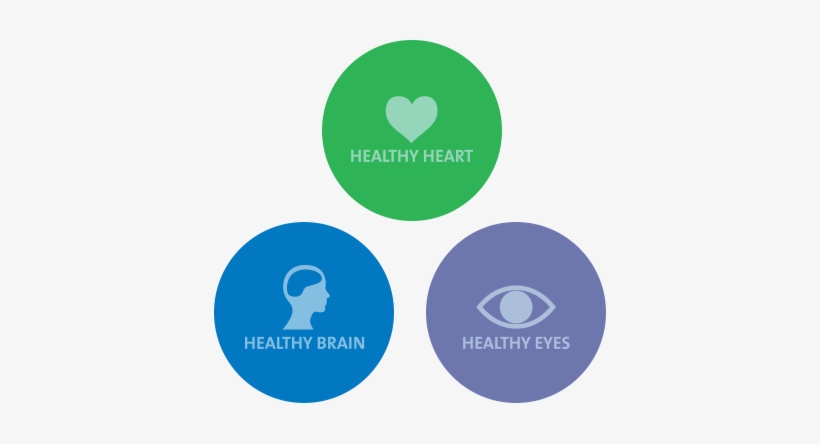 Every Body Needs It - Korean Language, transparent png