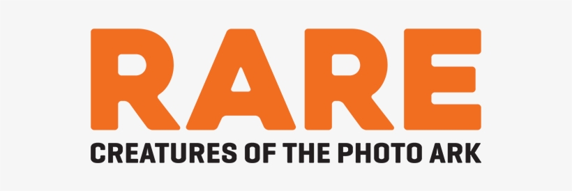 Tt Severs, transparent png