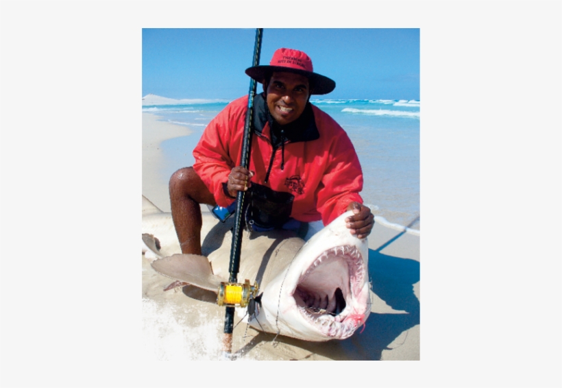 Authoritative Sand Tigers Patrol The Beaches Of South - Pull Fish Out Of Water, transparent png