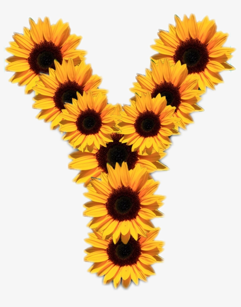 Sunflowers Badge Reel 5 To Choose From Retractable, transparent png