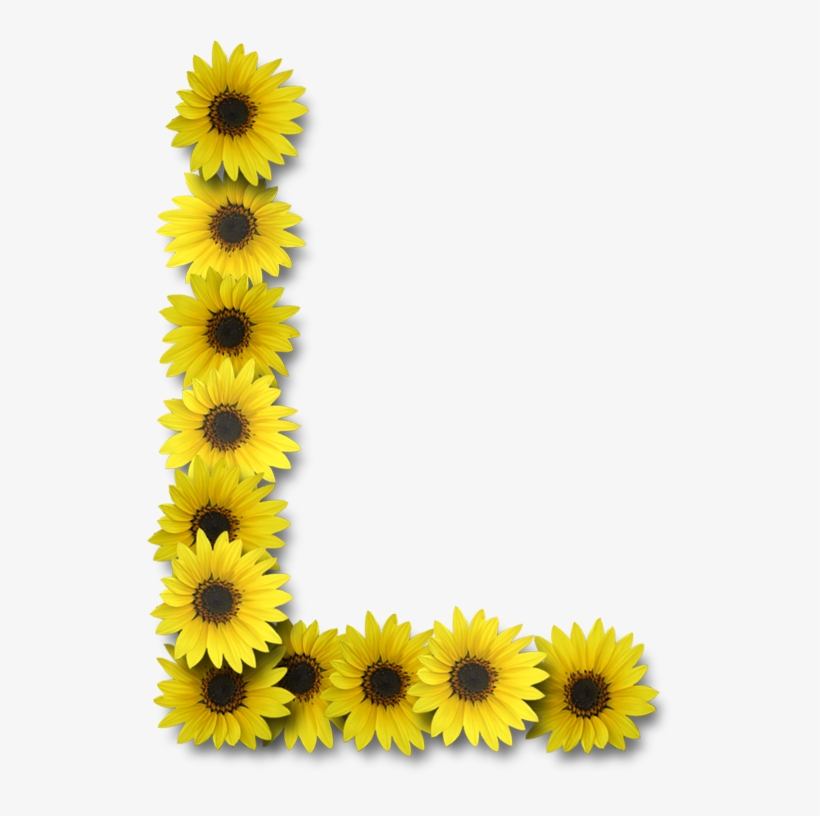 Sunflowers Png Alamat Ng - Sunflower Letter H, transparent png