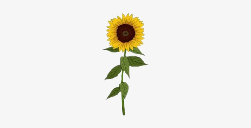 Stickers Tumblr Girasoles, transparent png