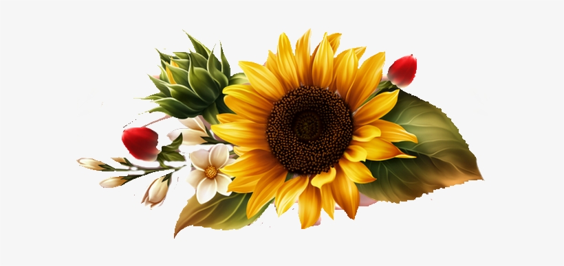 Obrazek - Tube Fleurs Flores Flowers Bloemen Png, transparent png