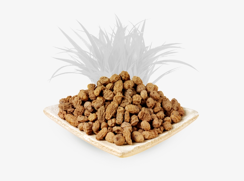 Every Time We Are Present In More Places, Ask For This - Tiger Nuts 25 Kg, transparent png
