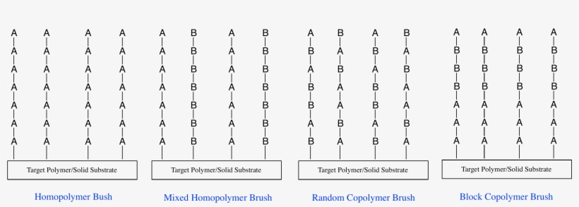 Brush Polymer Classifications Graphic - Diagram, transparent png