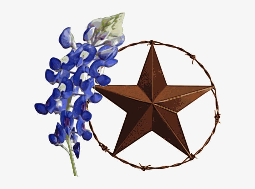 Texas Star With Bluebonnet - Bluebonnet With Texas Star, transparent png
