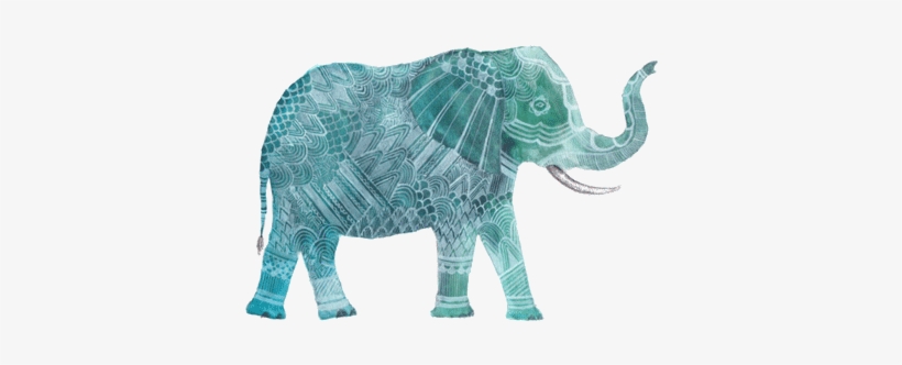 Elephant Tumblr Banner - Elephant Tumblr Theme, transparent png