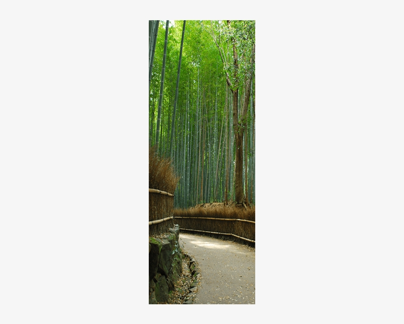 Bamboo Forest Walkway Door Mural Landscapes & Nature - Mural, transparent png