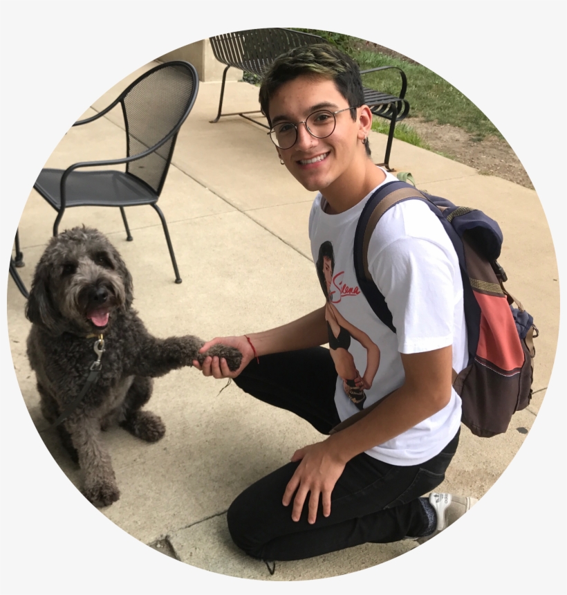 Juan Loves Selena And Singing Alone In His Room - Labradoodle, transparent png