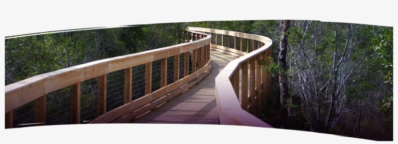 Specializing In Top-down Bridge Construction Through - Boardwalk, transparent png