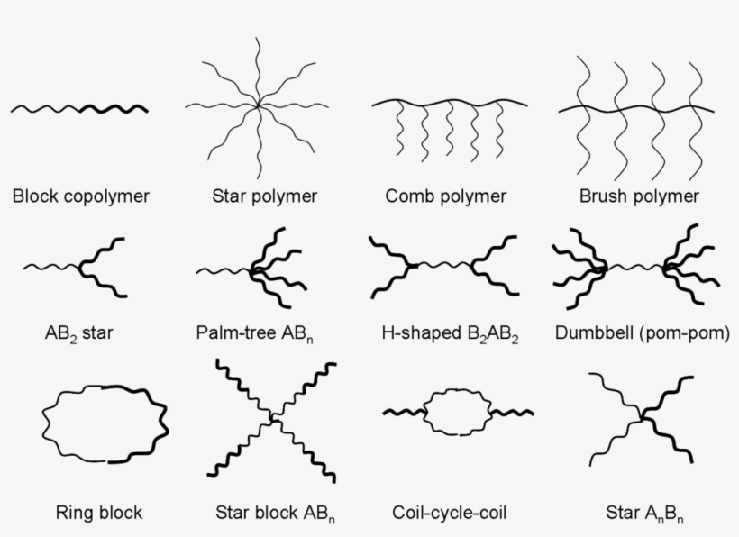 Engaged Leaders - Comb Polymer, transparent png