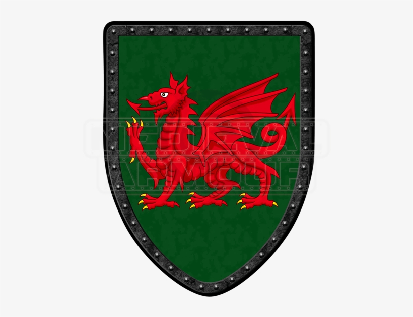 Red Dragon On Green Steel Battle Shield - Armour, transparent png