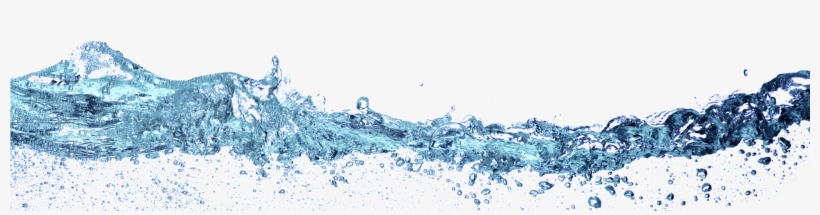 Water - Seabird, transparent png