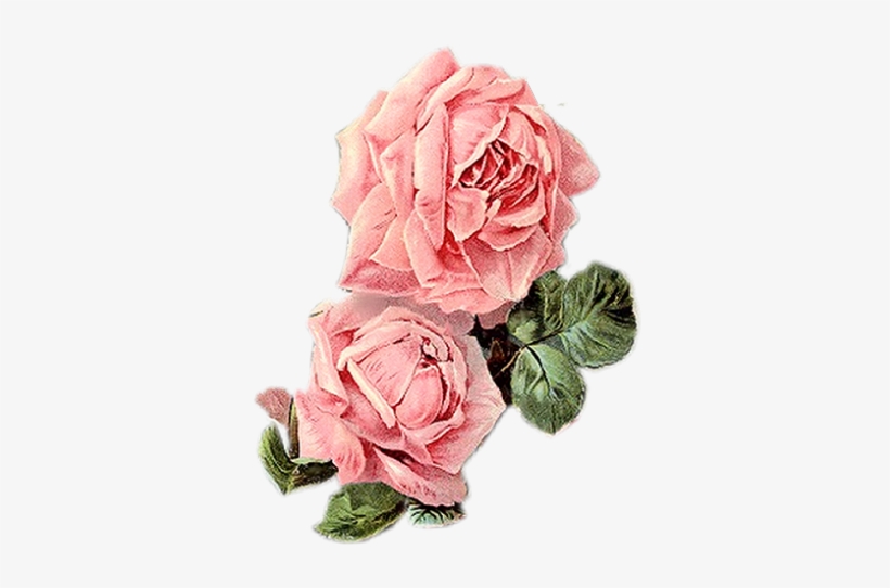 Vintage Roses, Vintage Floral, Vintage Prints, Vintage - Vintage Pink Flowers Png, transparent png