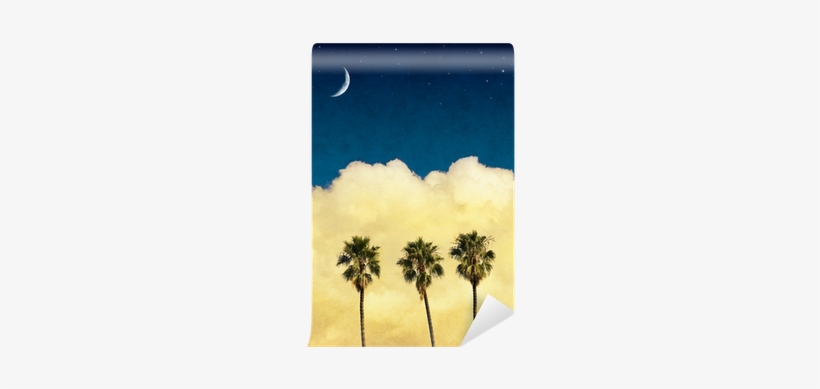 Moon Palms With Vintage Paper Textures Wall Mural • - Jessamine (a Novel) [book], transparent png