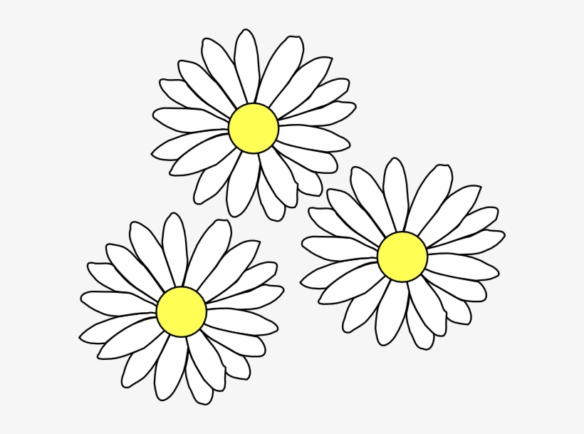 How To Set Use 3 Daisies Clipart, transparent png