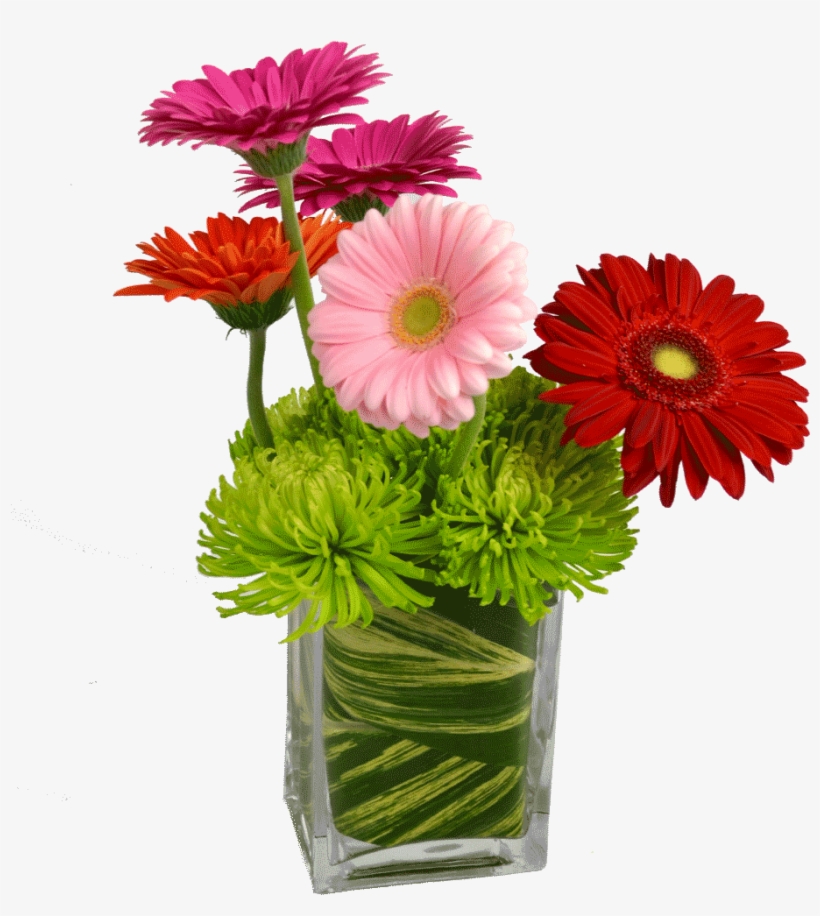 Fiels Of Daisies - Definition, transparent png