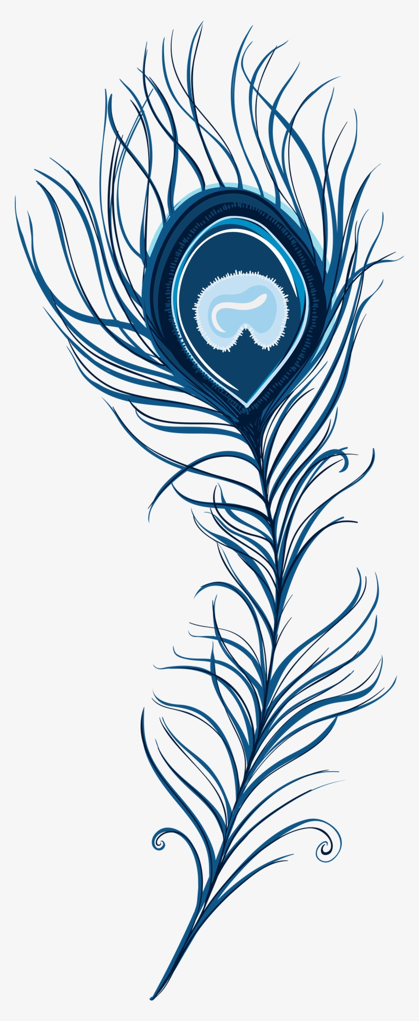 Peacock Feather - Peacock Feather Art Png, transparent png