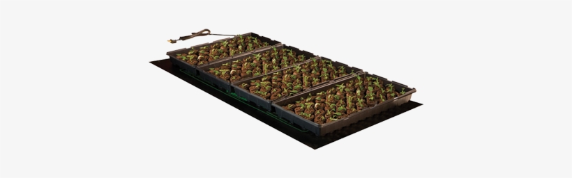 Hydrofarm Seedling Heat Mat 48 X 20 Inch - Hydrofarm 48" X 20" Seedling Heat Mat, 107 Watt, transparent png