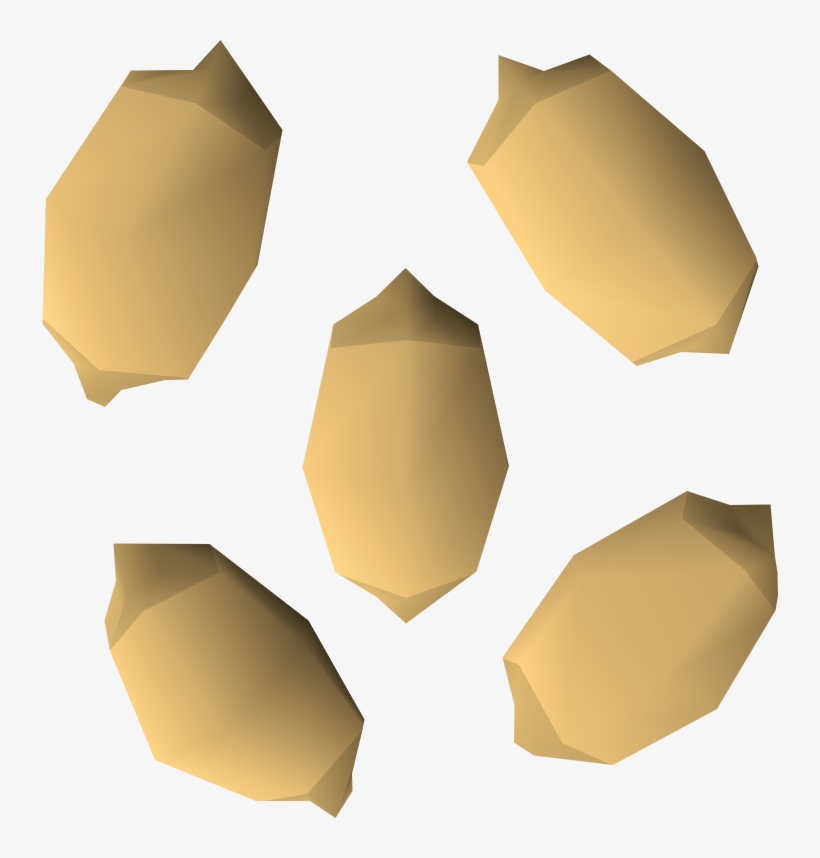 Palm Tree Seed, transparent png