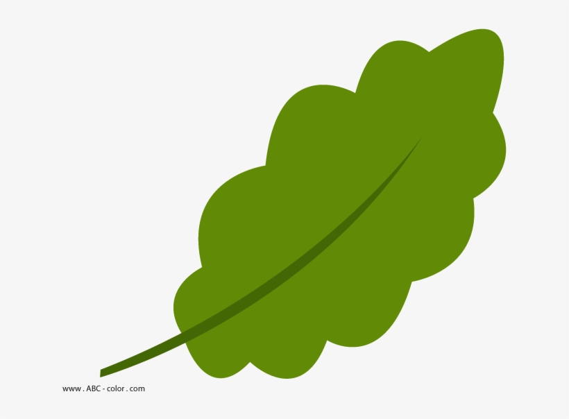 Vector Freeuse Library Raster - Дубовий Листочок, transparent png