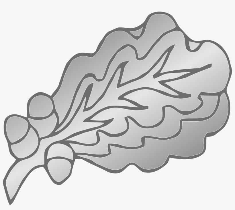 Open - Oak Leaf Cluster, transparent png