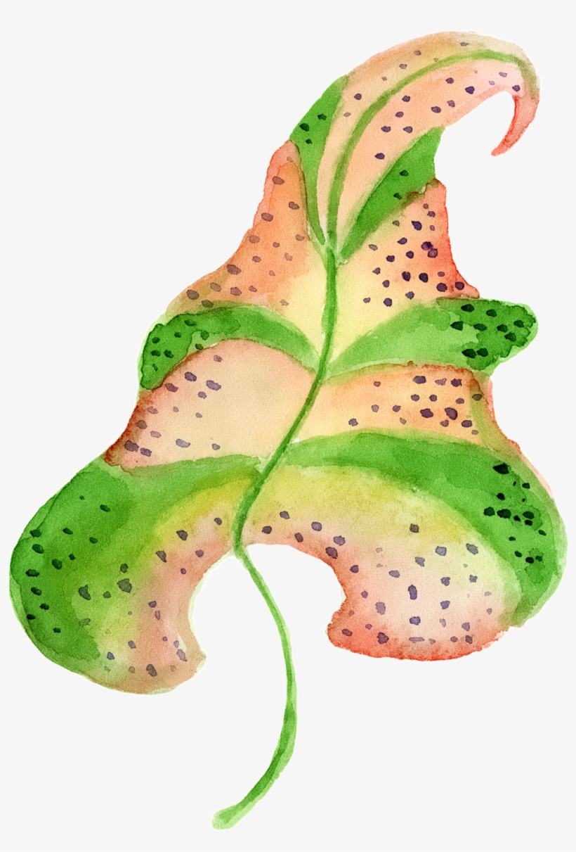 Hand Painted A Vivid Leaf Png Transparent - Portable Network Graphics, transparent png