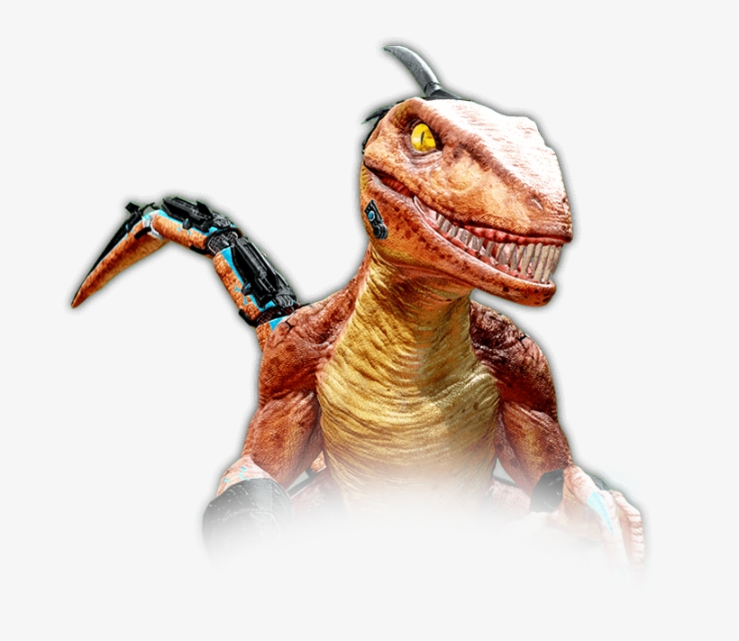 Killer Instin - Portable Network Graphics, transparent png