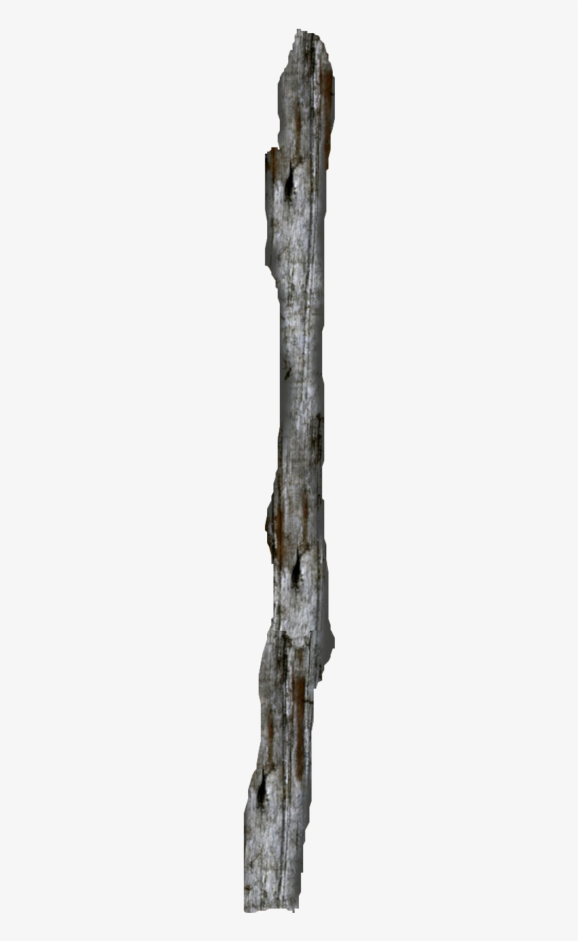 By - Driftwood, transparent png