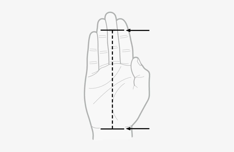 Measure Your Hand From The First Joint Of Your Middle - Reebok, transparent png