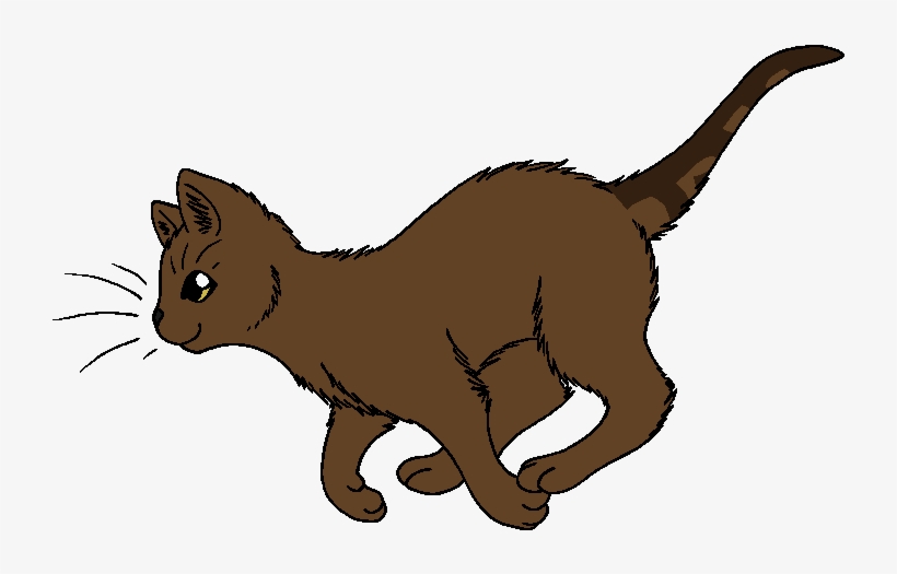Eagle Feather - Eagle Paw Warrior Cats, transparent png