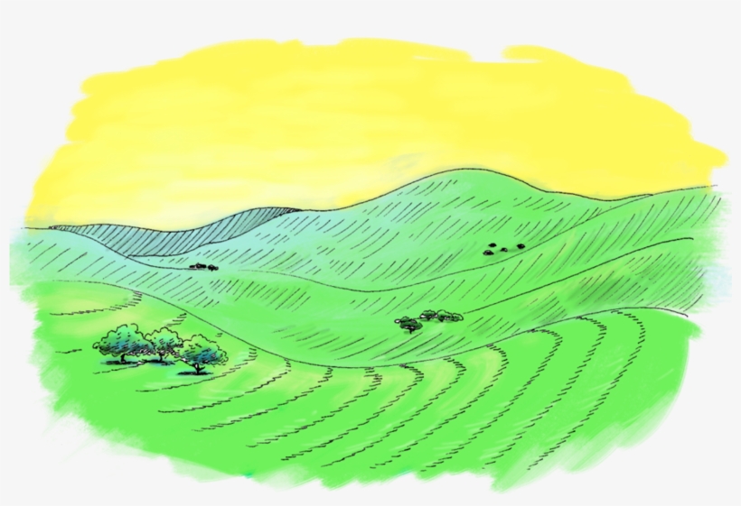 Juristac Owen Sm2 - Visual Arts, transparent png