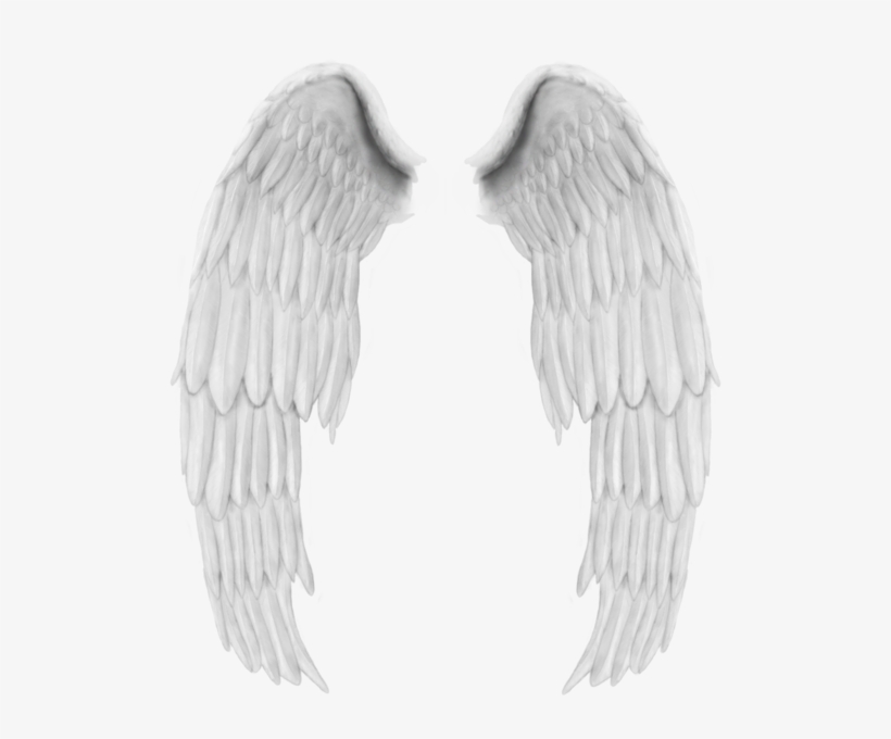 White Wings Png High Quality Image - Angel Feather In Png, transparent png