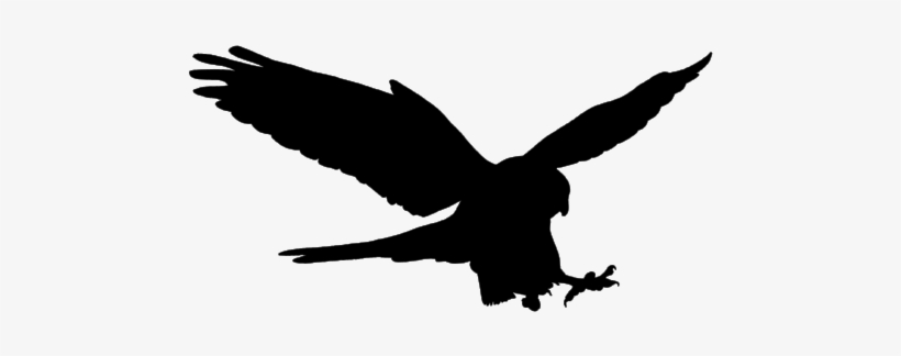 Falcon Only - Portable Network Graphics, transparent png