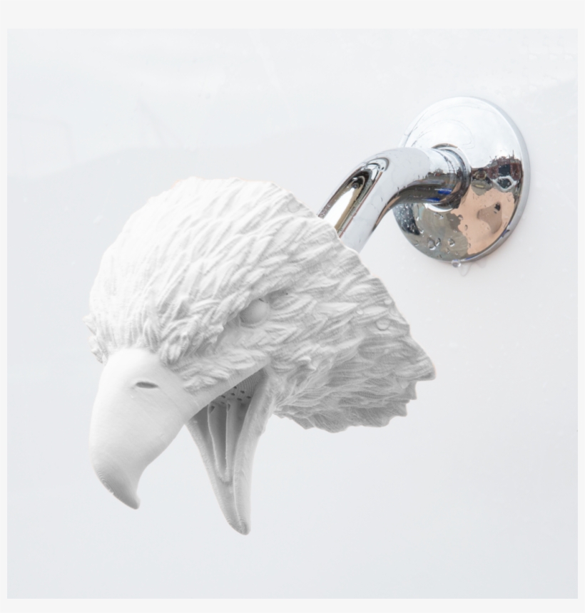 Eagle, transparent png