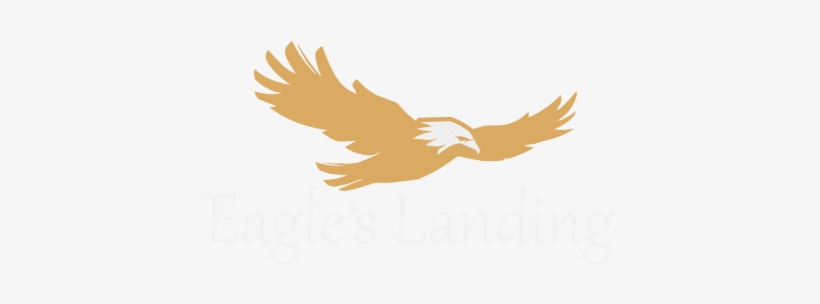 Brainerd, transparent png