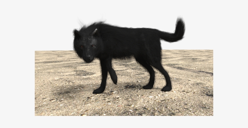Tumblr Mcyg5etcnb1rwc3p9o1 500 Wolf - Schipperke, transparent png