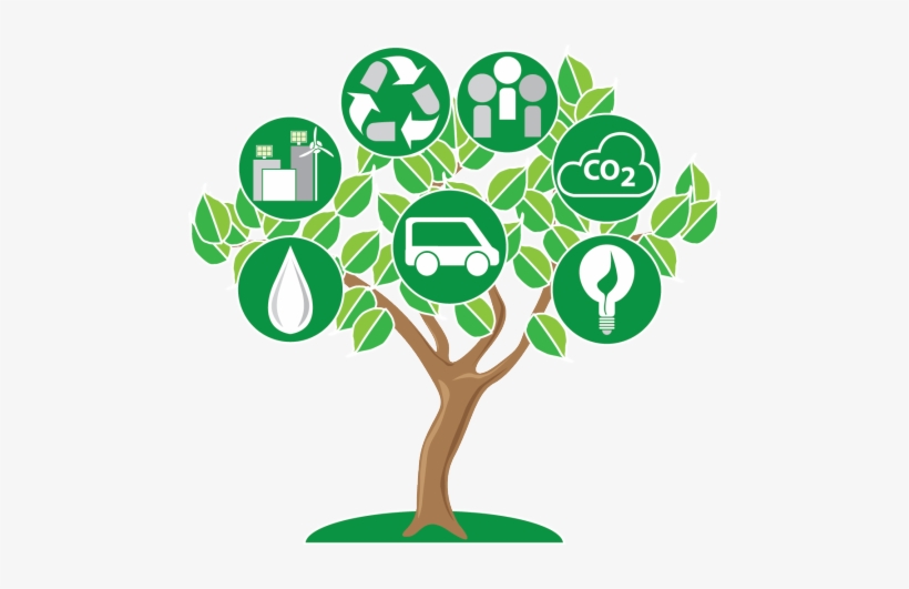 Ot, Sustainable, Education, Tree, Ot Education, Climate - Education Sustainability, transparent png