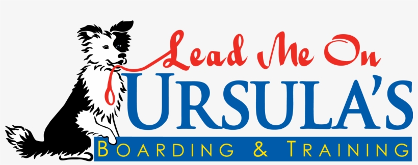 Ursula's Lead Me On - Whelan & Di Scala, transparent png